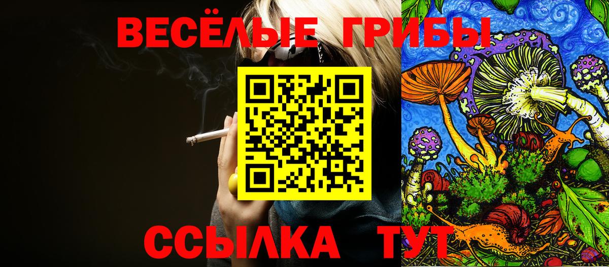 Псилоцибиновые грибы мухоморы  Галлюциногенные грибы MAGIC MUSHROOMS  Сердобск  закладка  Вход с VPN 